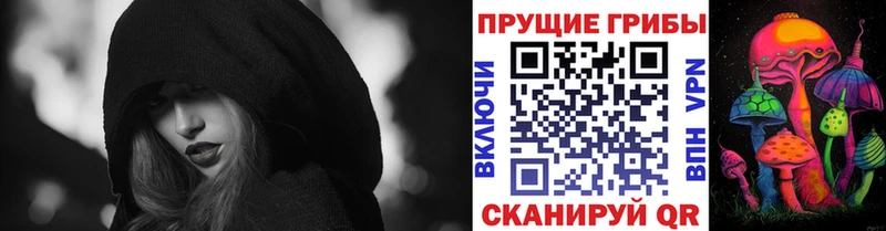 Псилоцибиновые грибы Psilocybine cubensis  Олонец 